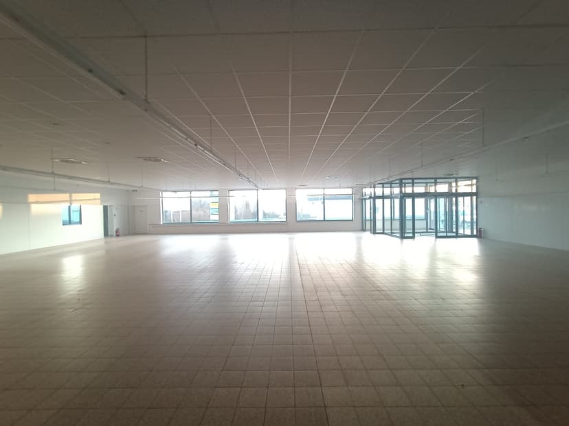 Fläche A - Eingangsbereich